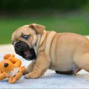 Meet your Posher, Tasha